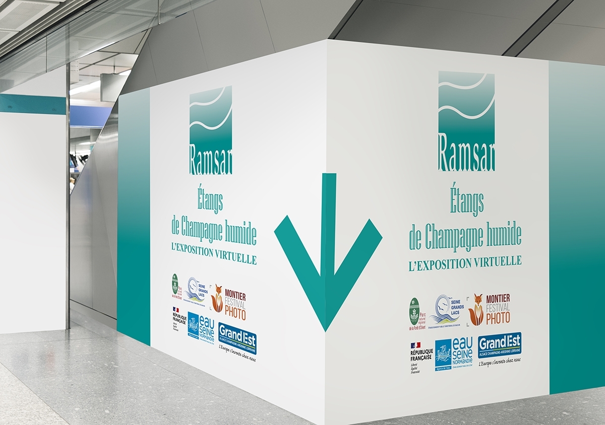 Exposition virtuelles Zone Ramsar - Étangs de Champagne humide