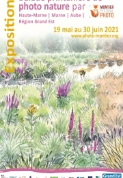 Balade printanière de photo nature par le Festival photo de Montier-en-Der