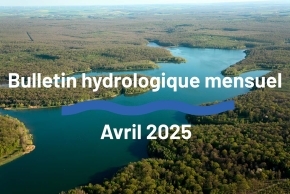 Enlarge the image