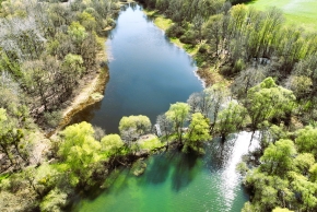 Enlarge the image