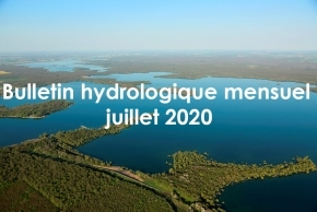 Enlarge the image