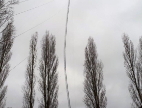 Enlarge the image