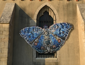 Enlarge the image