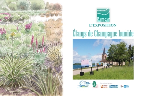 Exposition Zone Ramsar "Étangs de Champagne humide" - EPTB Seine Grands Lacs