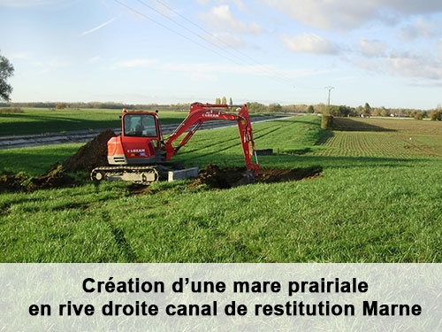 Création d’une mare prairiale en rive droite canal de restitution Marne - EPTB Seine Grands Lacs
