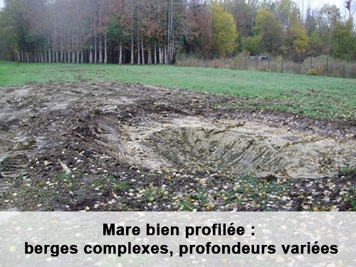 Mare bien profilée : berges complexes, profondeurs variées - EPTB Seine Grands Lacs